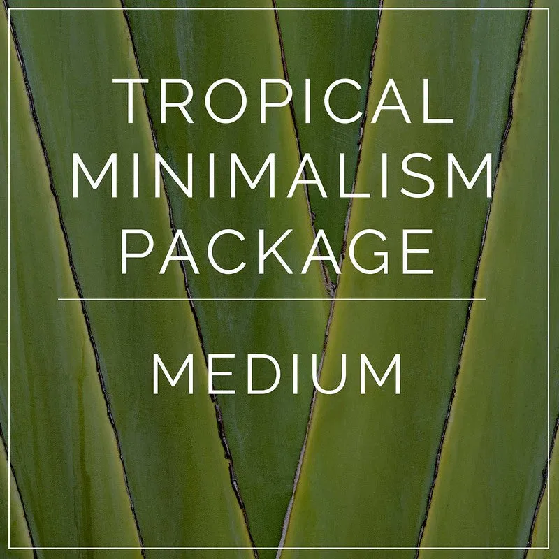 Tropical Minimalism- Medium Package